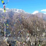 ruby-valley-sightseen