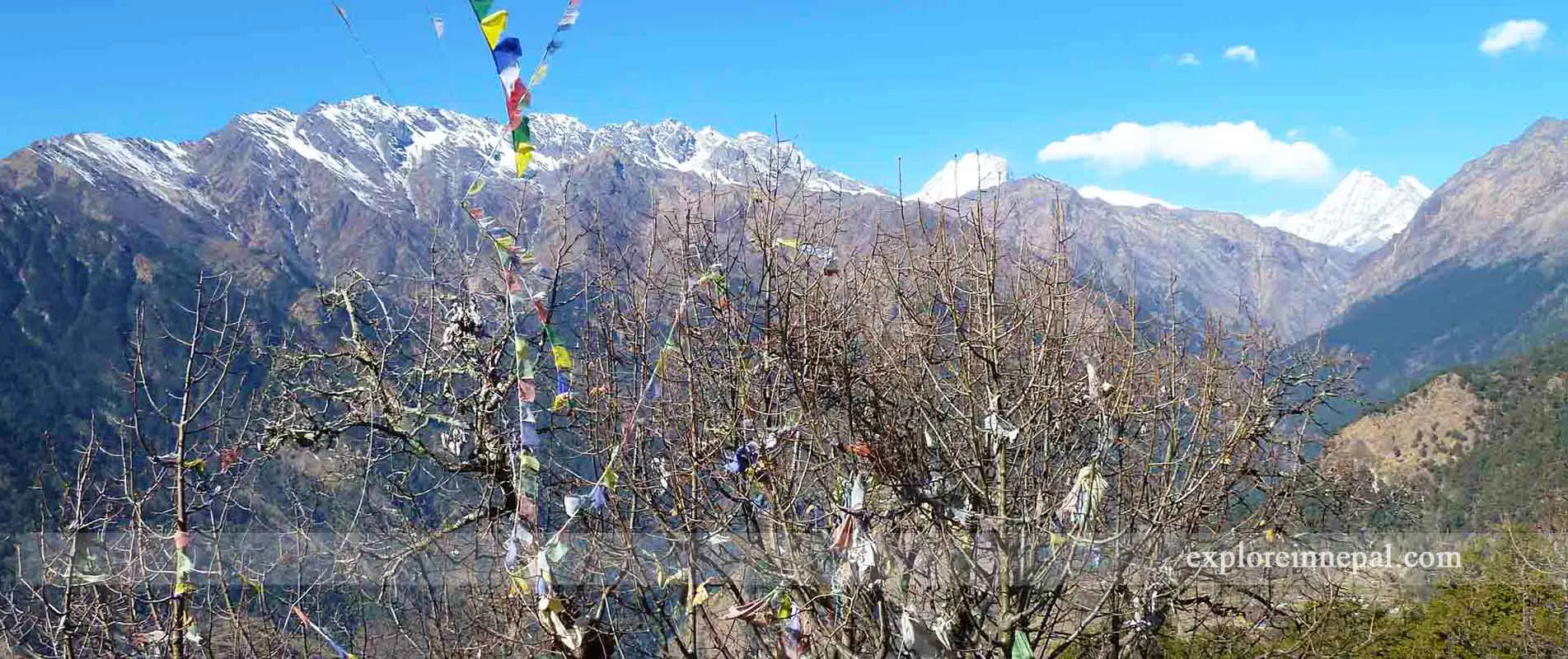 Pikey peak trek| Pikey peak viewpoint | pikey peak short itinerary & cost