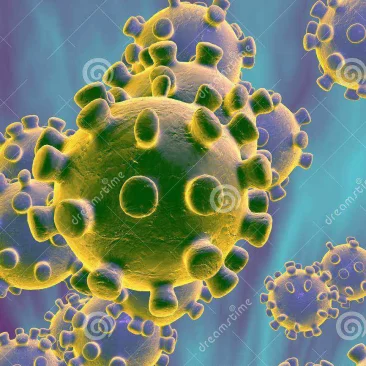 Coronavirus in nepal