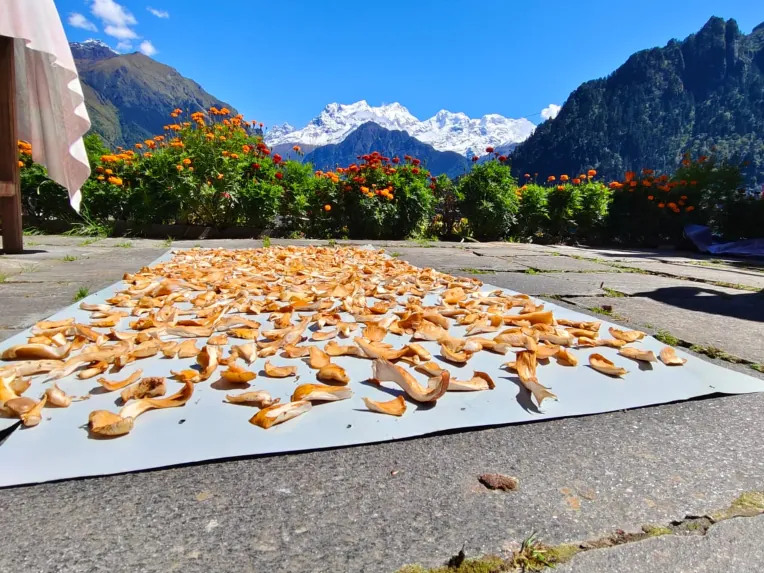 Annapurna circuit trek