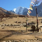 Langtang valley trek