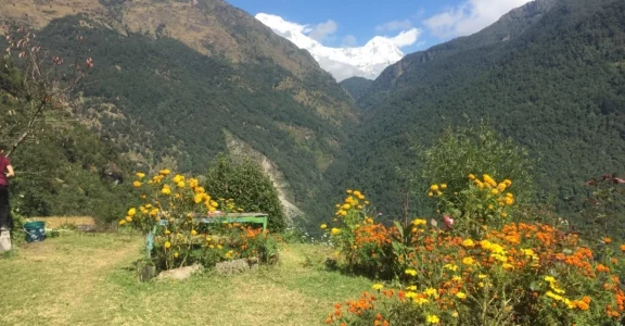 Ghorepani -PoonHill Trek