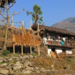 A tradistional house along the way to Kanchenjunga basecamp trek.