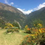 a couple from USA heading to Ghorepani Poonhill viewpoint