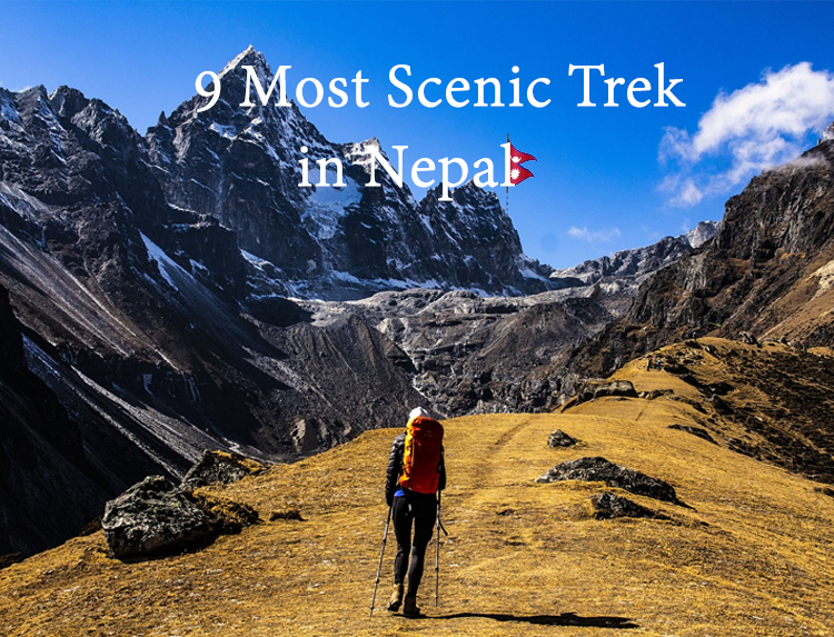 Scenic Trek in Nepal