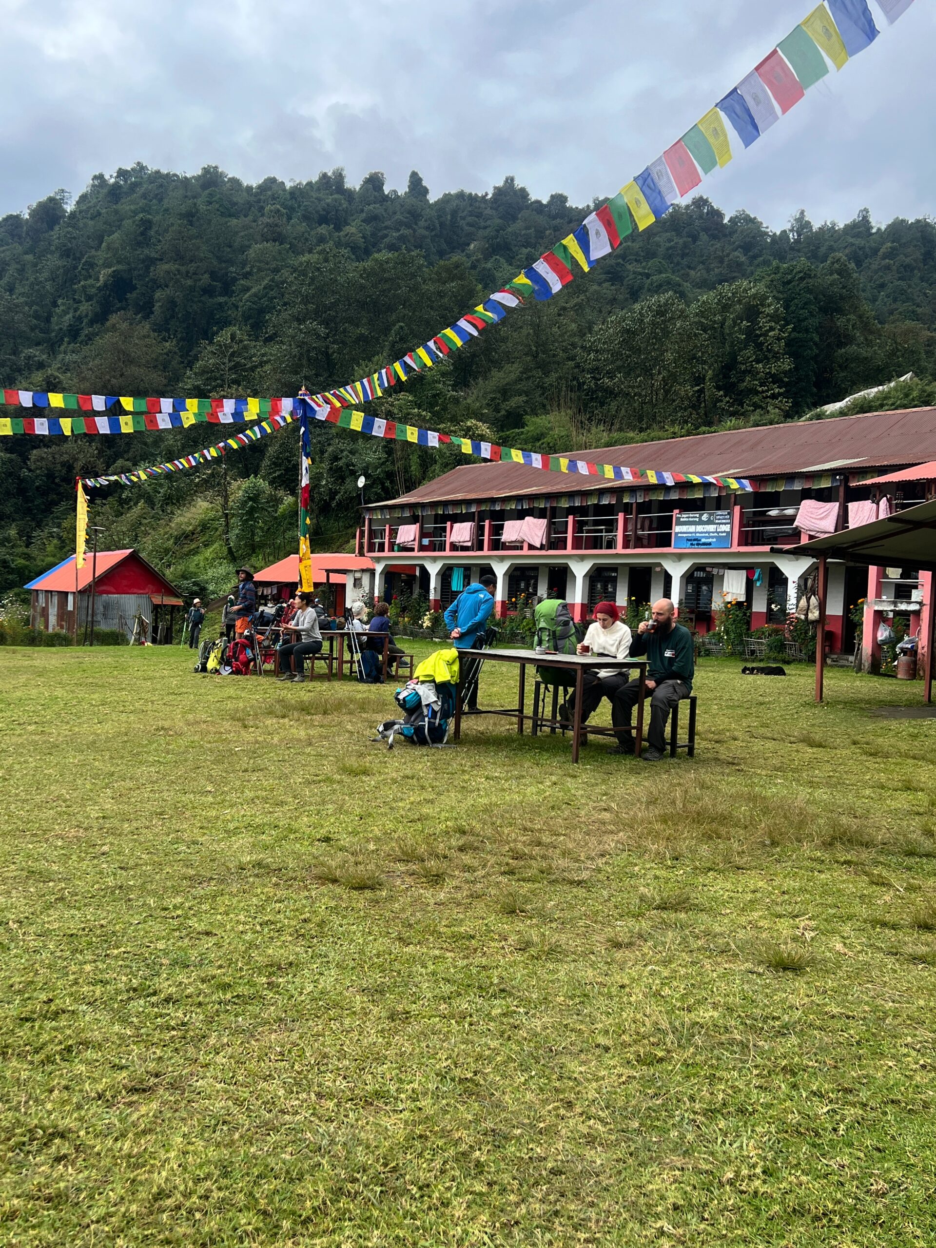 cost for guide scaled