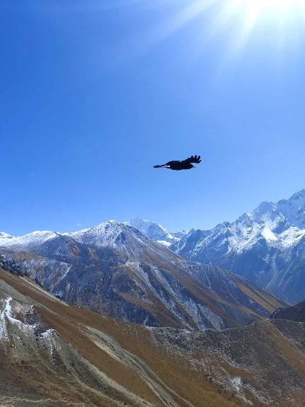 Langtang Valley Trek 3