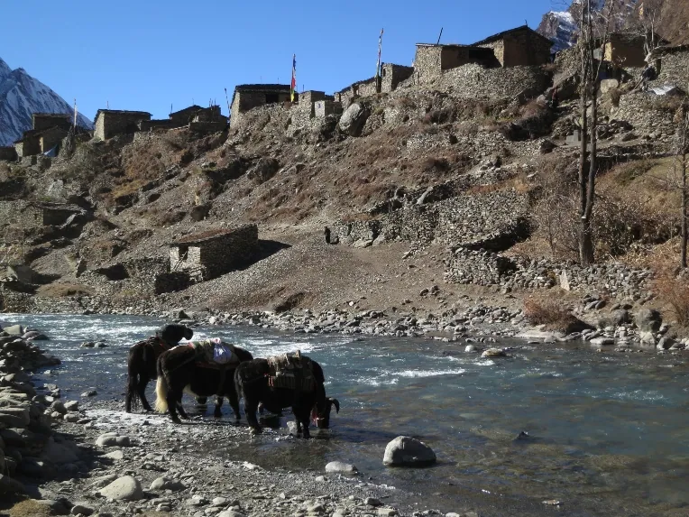 Manaslu circuit trek in october 