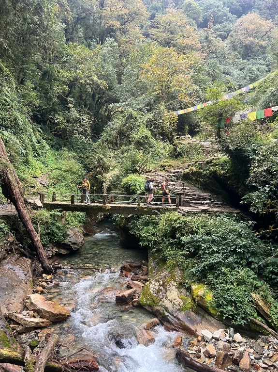 Crossing the suspension bridge