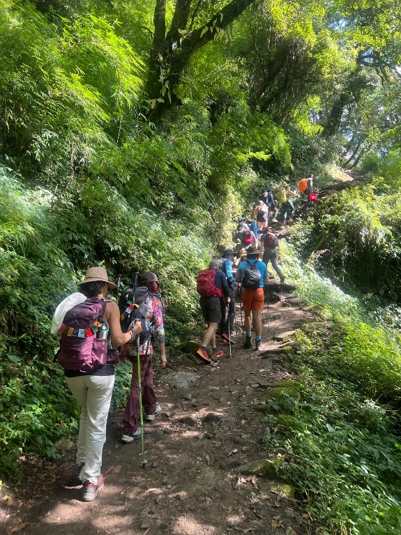 on the way to bamboo