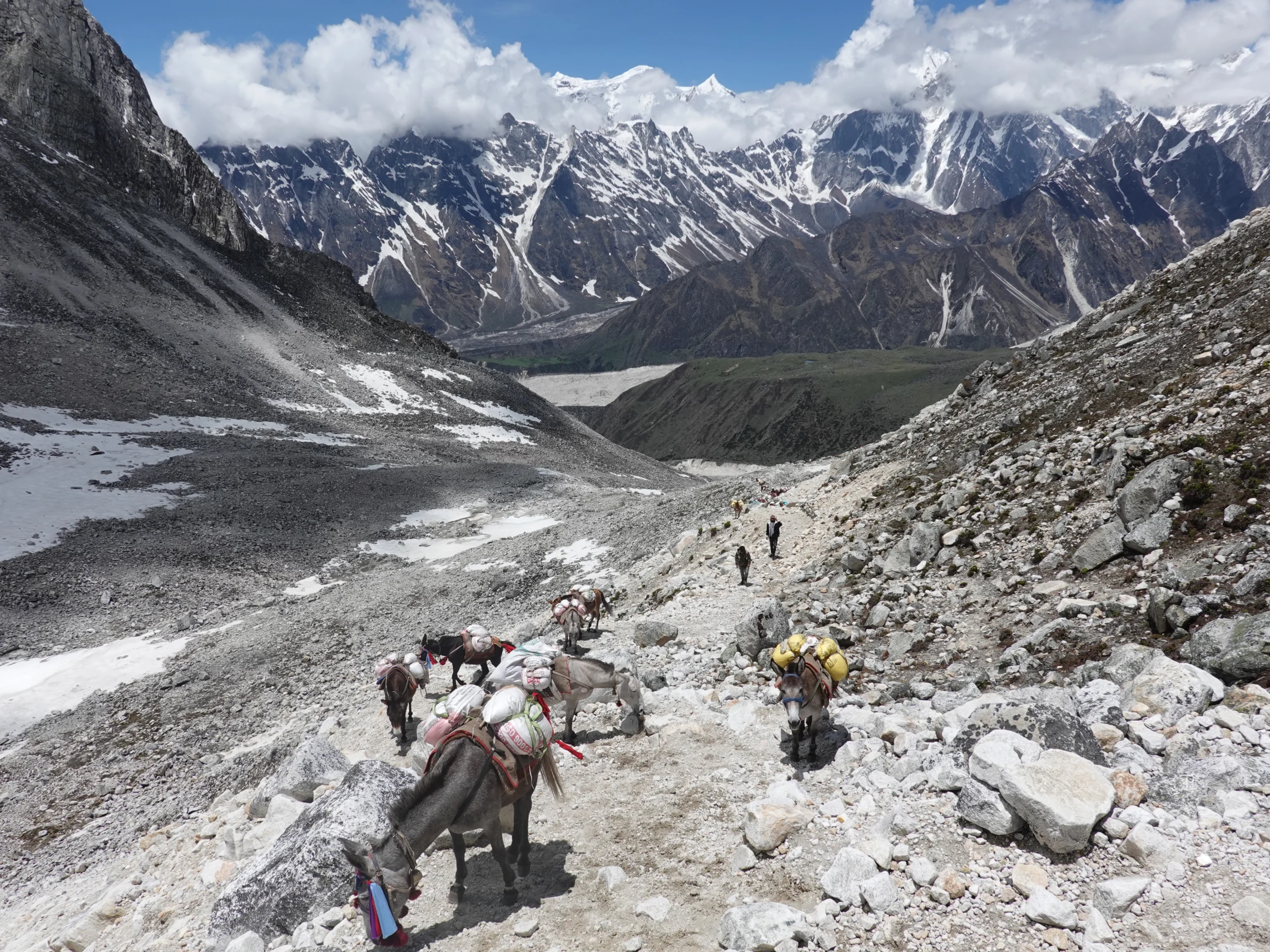 GHT. 2019 4022 scaled