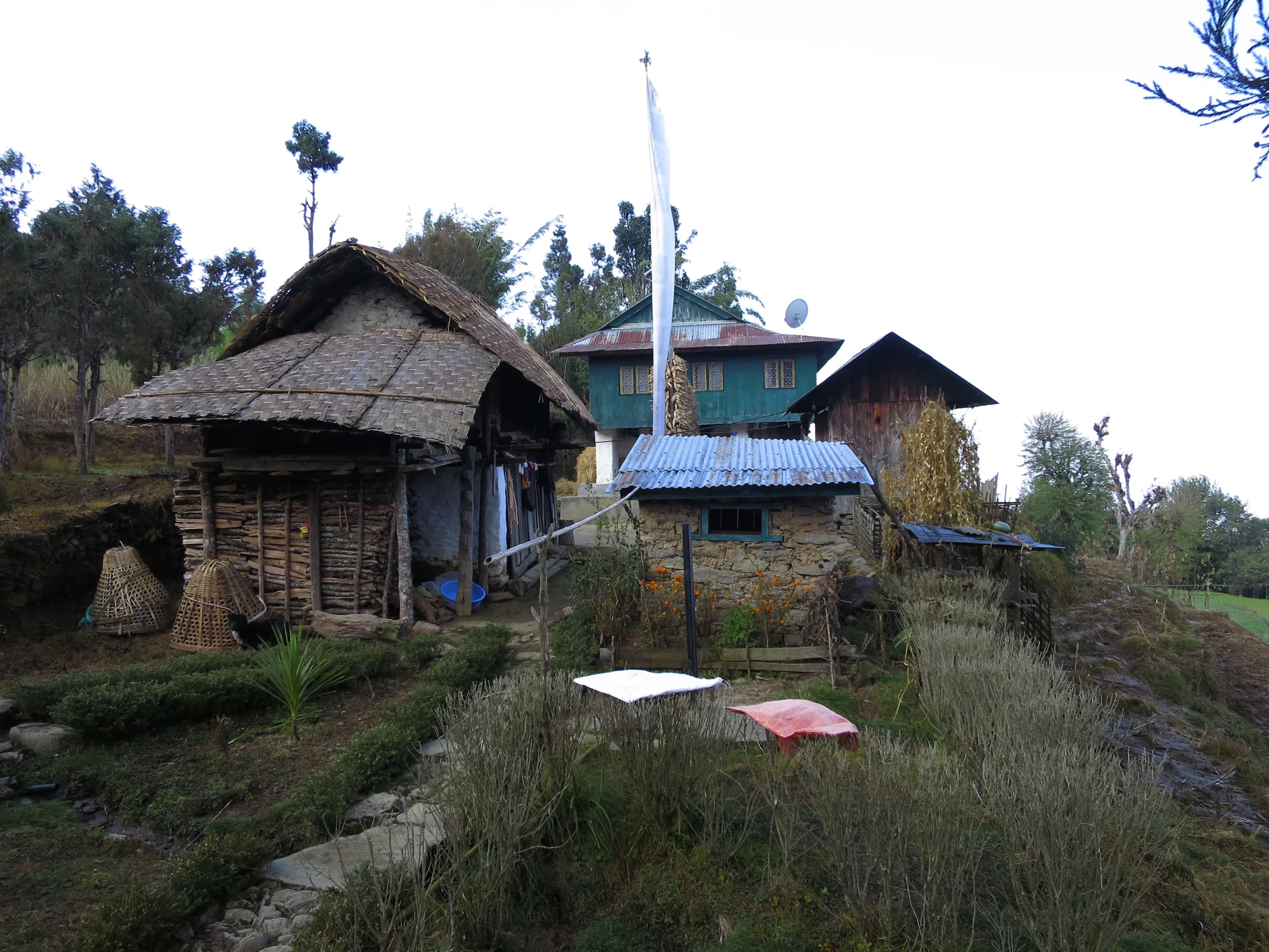 Tea houses on the way scaled