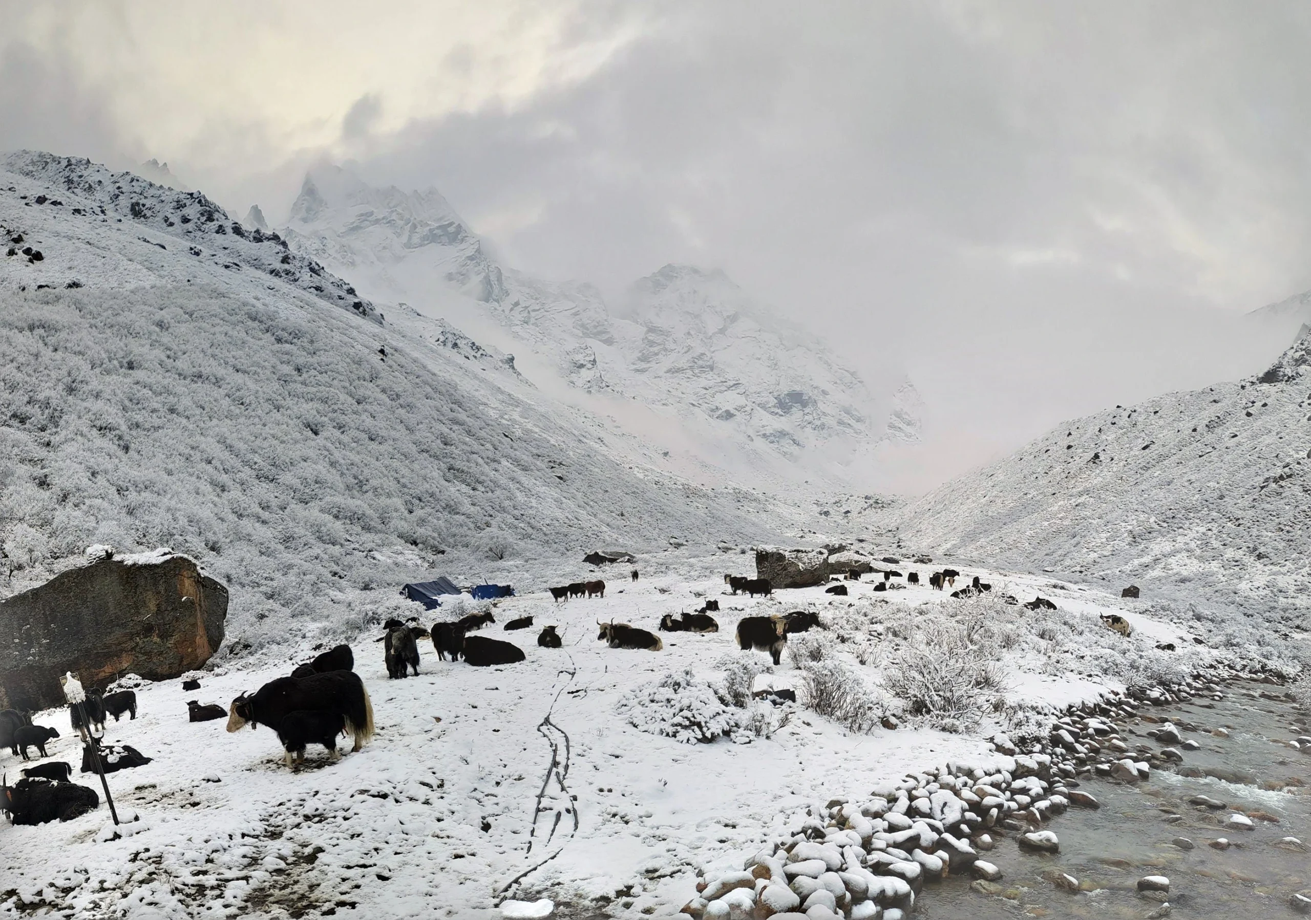 20240506 174412 PANO scaled