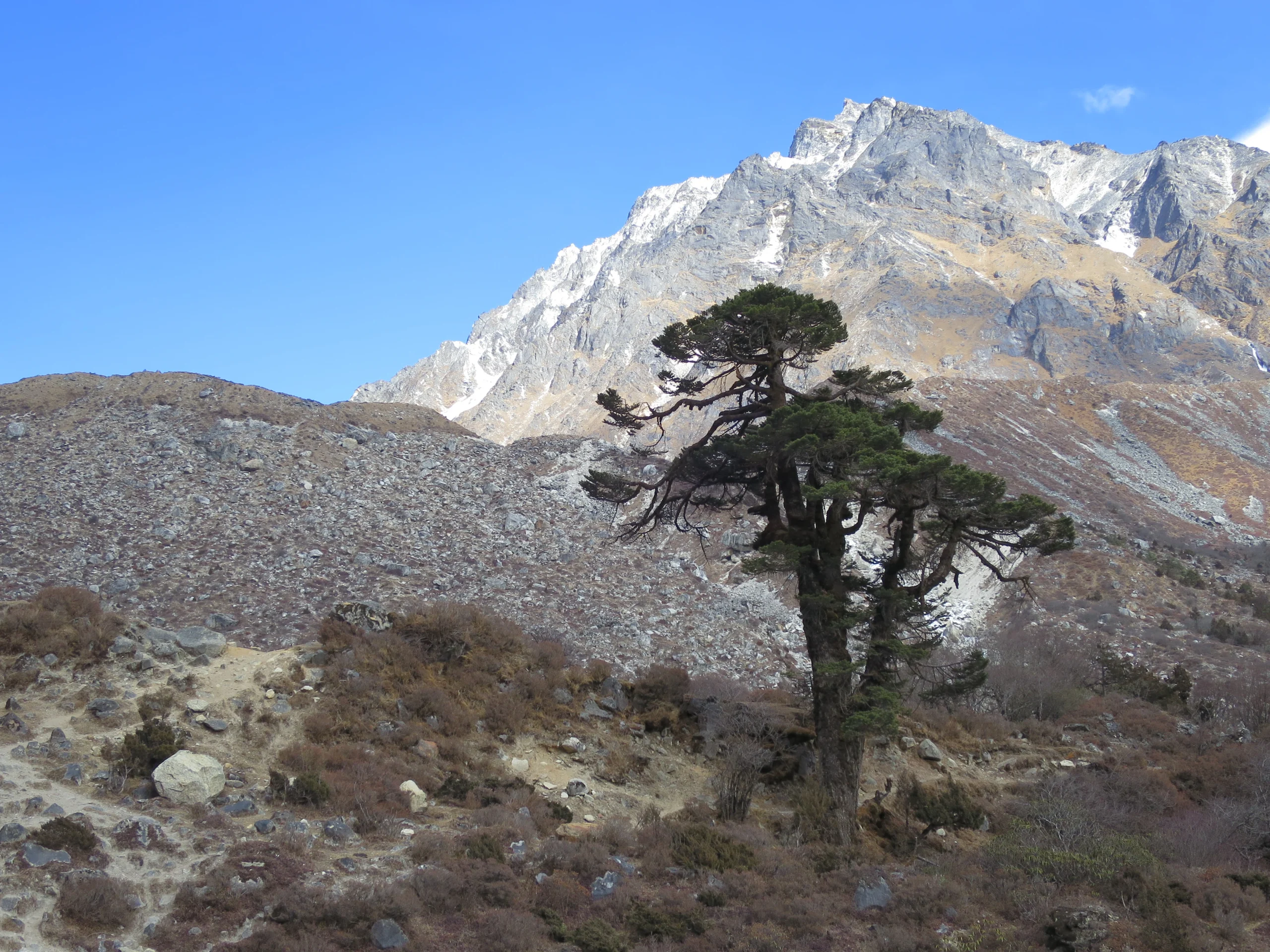 Best of Nepal 2016 Kanchenjunga Base Camp 281 scaled