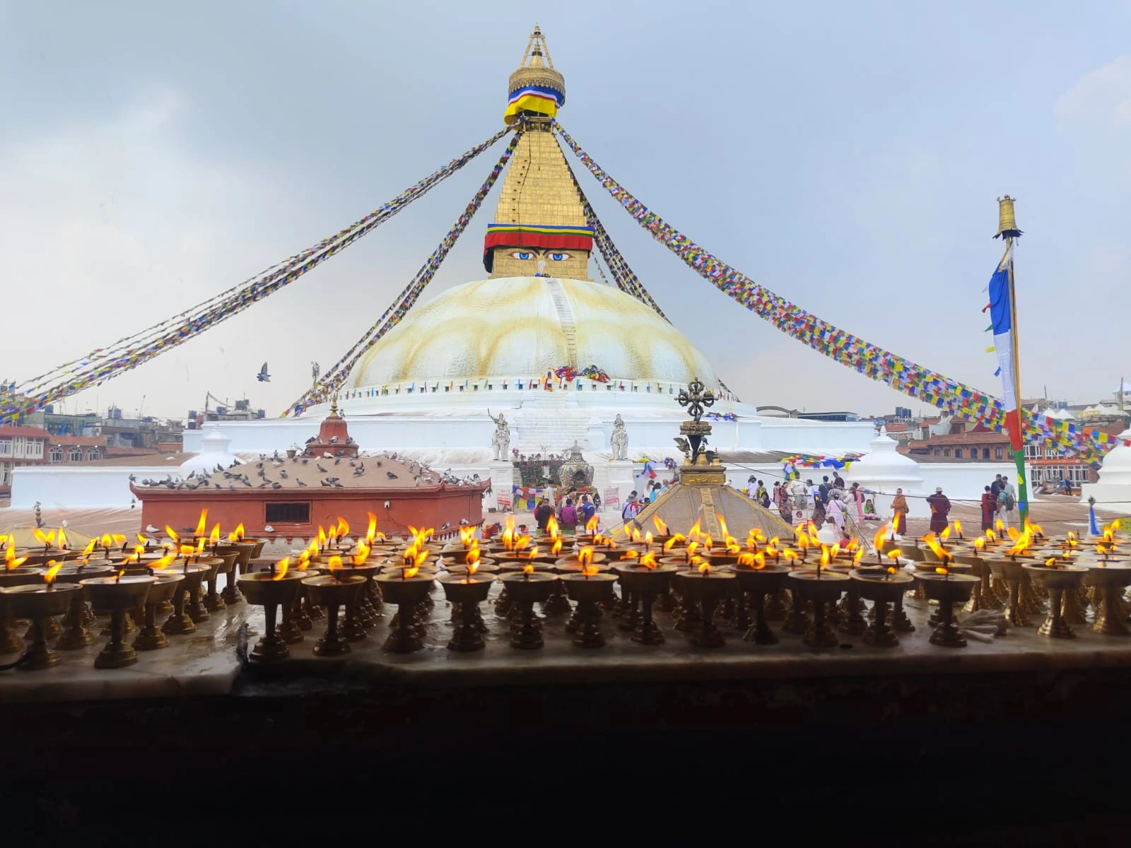 WhatsApp Image 2026 01 15, 1.42.35