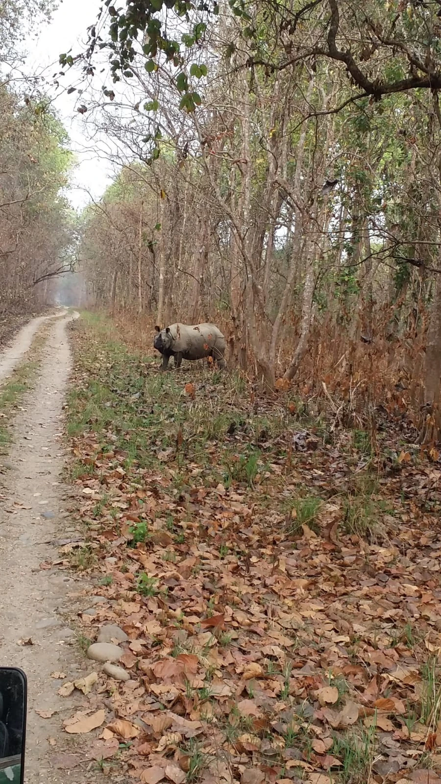 WhatsApp Image 2026 01 15, 1.53.57