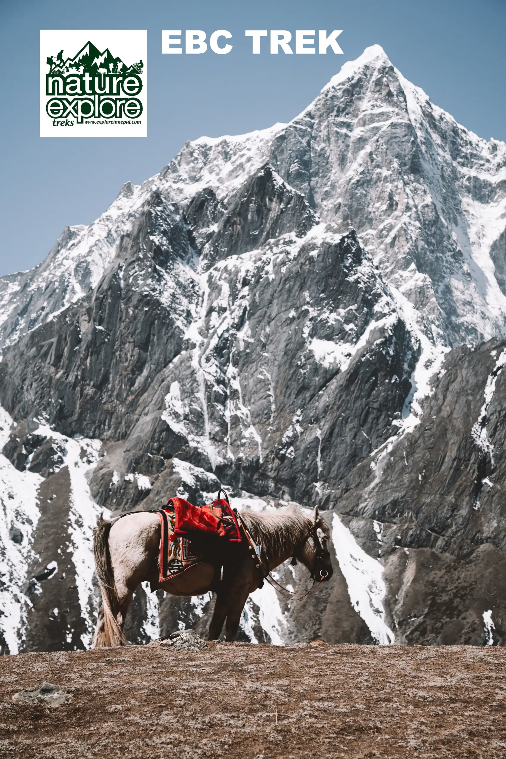 Everest Base Camp Trek Cost from Australia (2026/2027): Complete Guide for Australian Trekkers 3 DSC08320 scaled