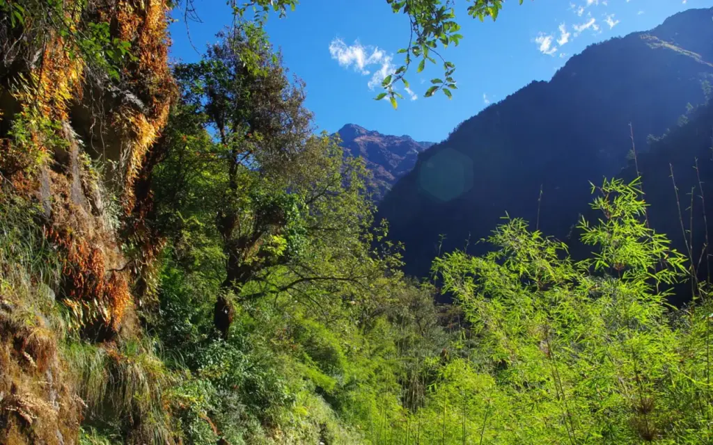 Langtang National Park: Complete Travel and Trekking Guide for 2027 30 Langtang National Park