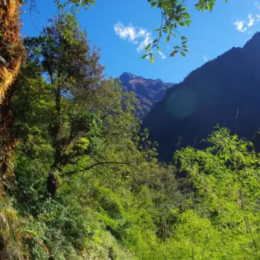 Pāka Aupuni ʻo Langtang