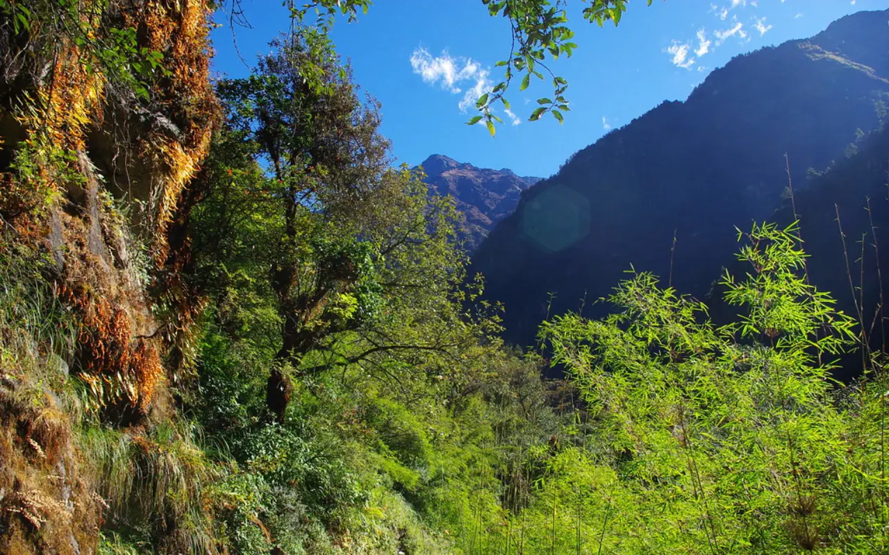 Langtang National Park